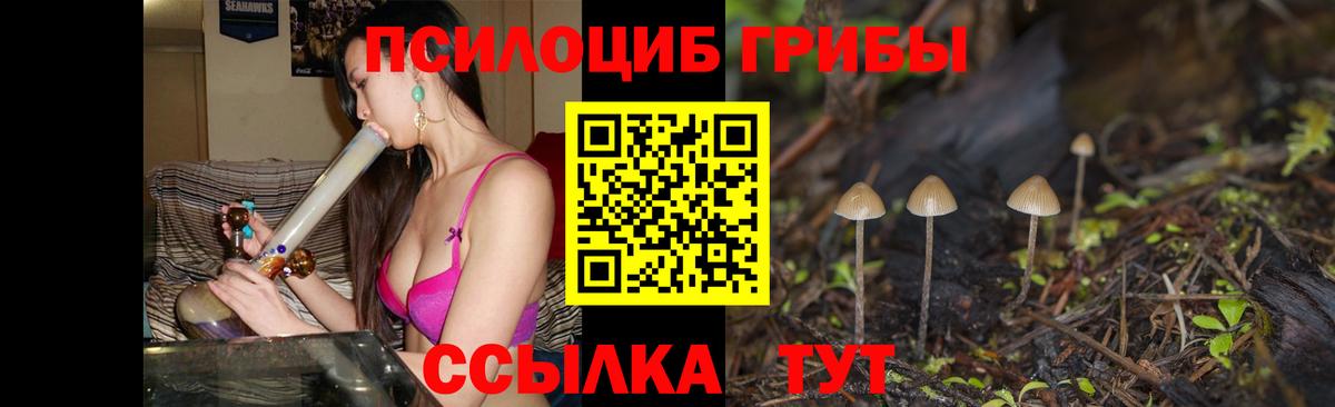 Галлюциногенные грибы Cubensis  Вход с VPN  Галлюциногенные грибы прущие грибы  Уфа 